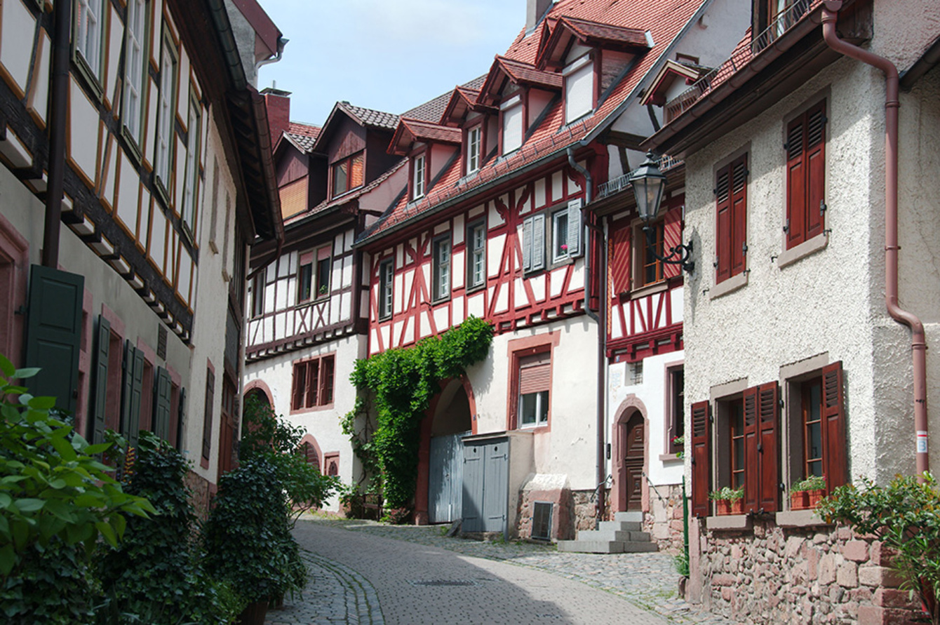 Altbau­sanierung bei Elektromeister Laganowski GmbH in Dresden